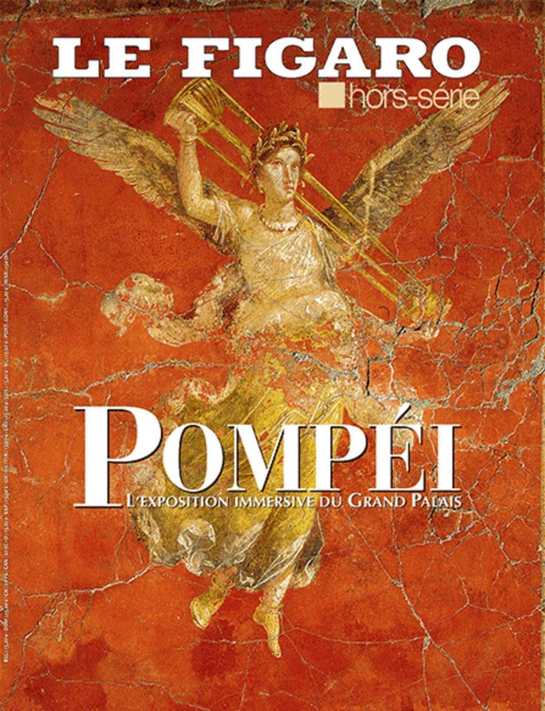 Pompéi: L'exposition immersive du Grand Palais 9782810508853