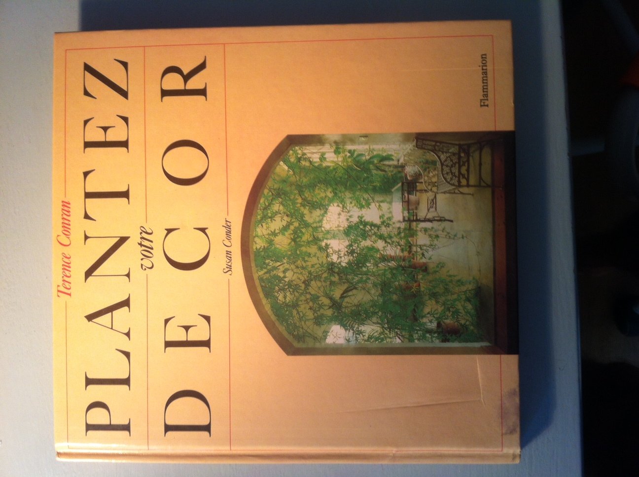 Plantez votre decor - - traduit de l'anglais 100 illustrations en couleur 9782082019033