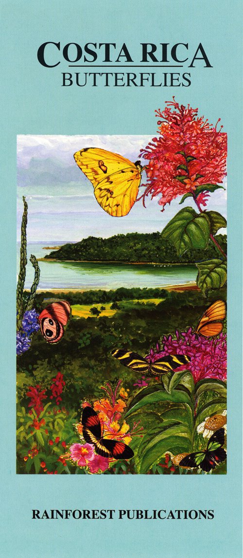 Costa Rica Butterflies Wildlife Guide (Laminated Foldout Pocket Field Guide) (English and Spanish Edition) 9781888538717