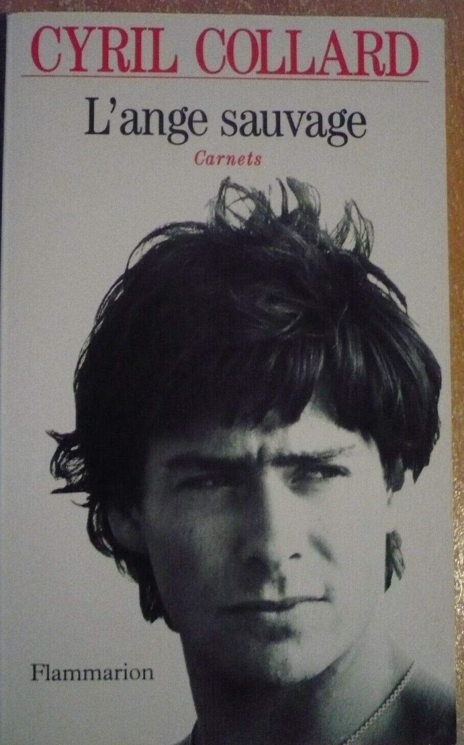 L'ange sauvage 9782080669452