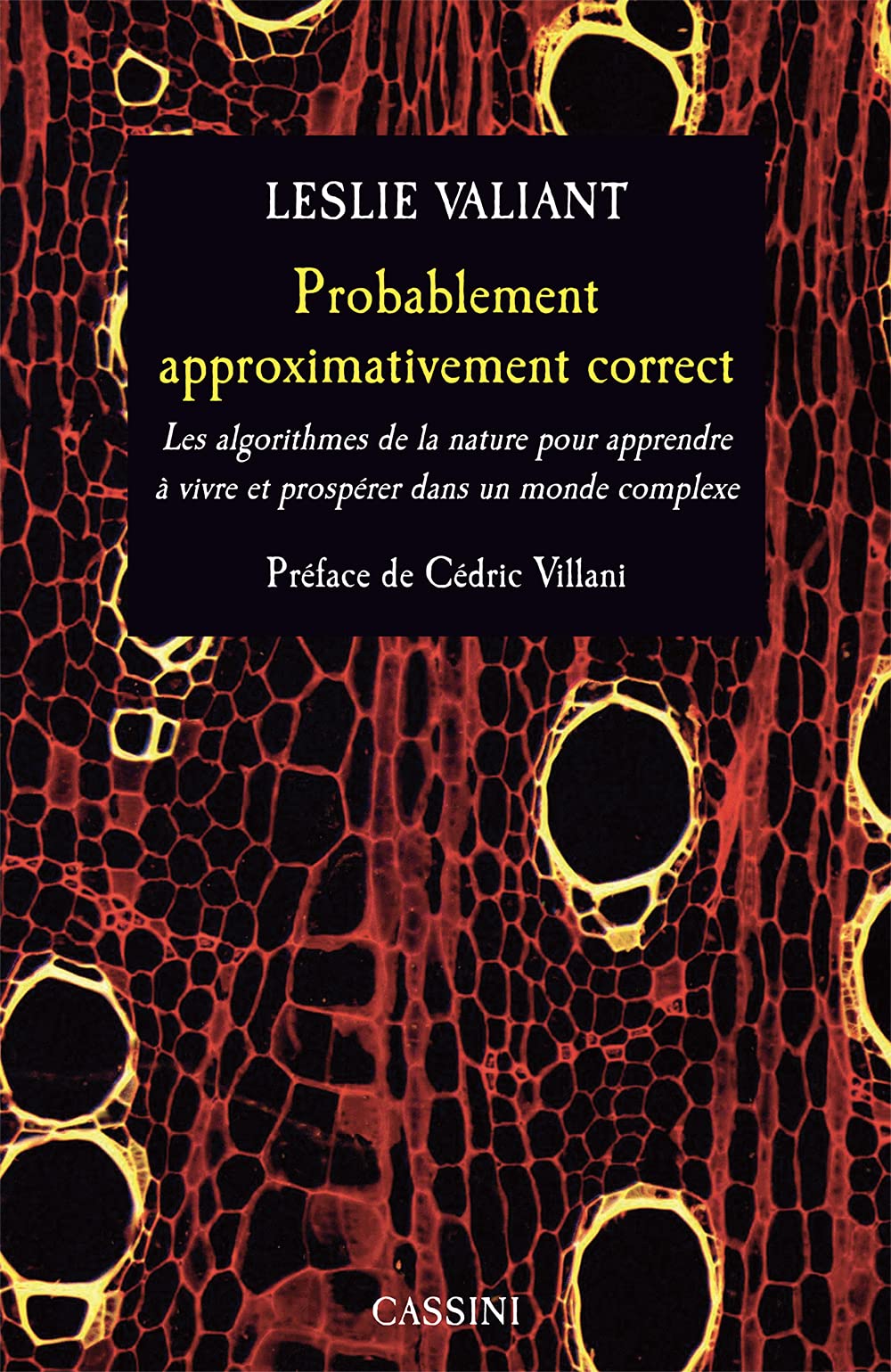 Probablement approximativement correct: Algorithmes nature apprendre à vivre et prospérer dans un environnement complexe 9782842252359