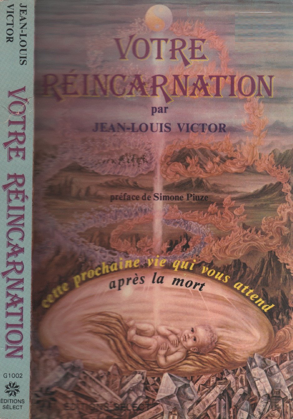 Votre reincarnation. cette prochaine vie qui vous attend apres la mort 
