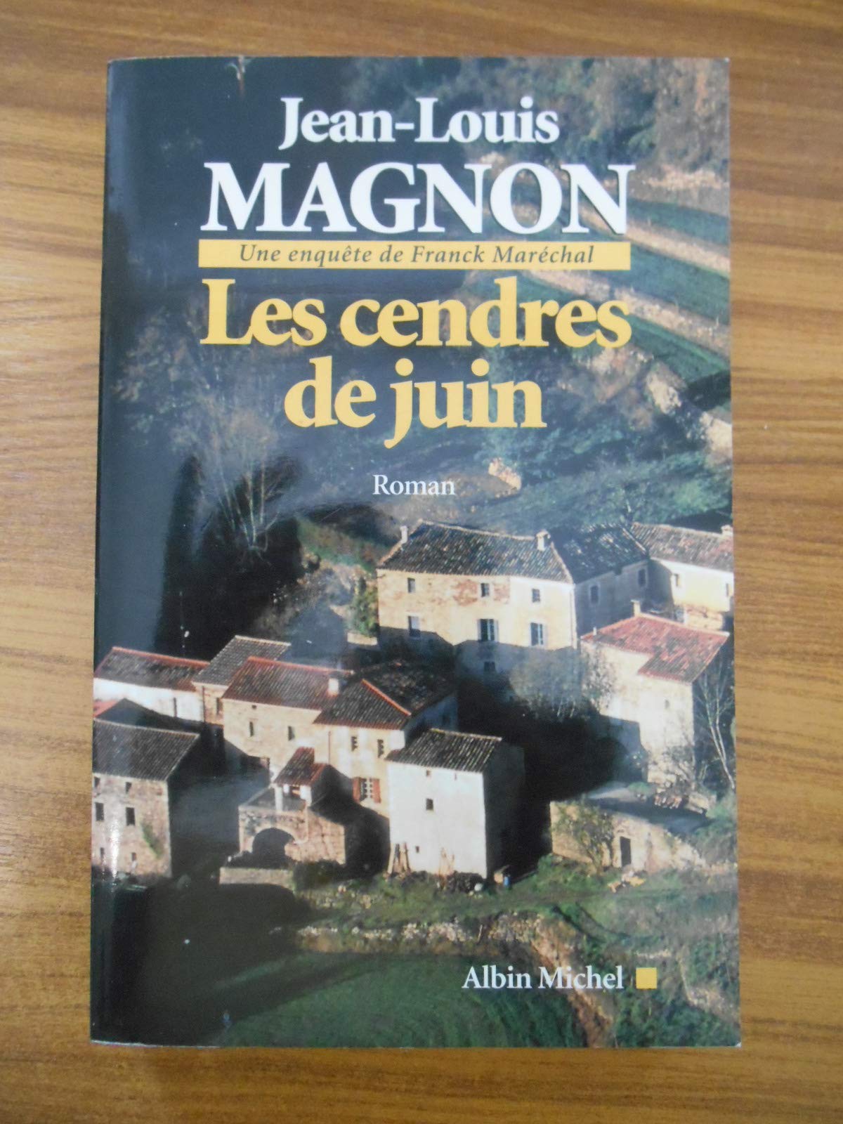 Les cendres de juin 9782226133533