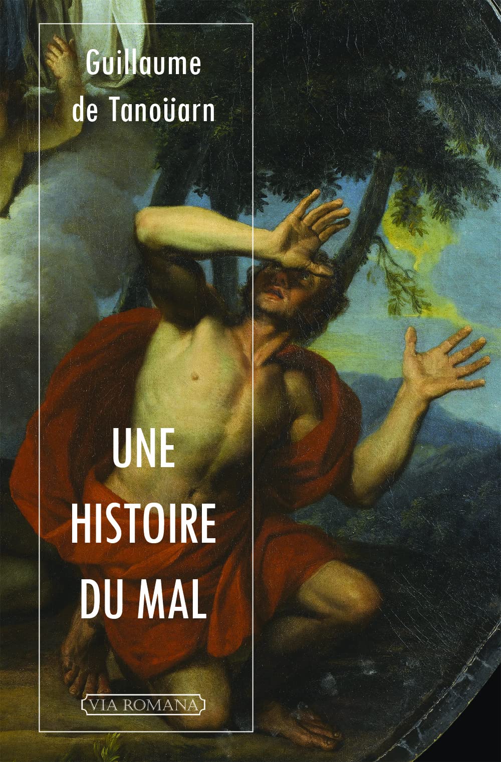 Une histoire du mal 9782916727998