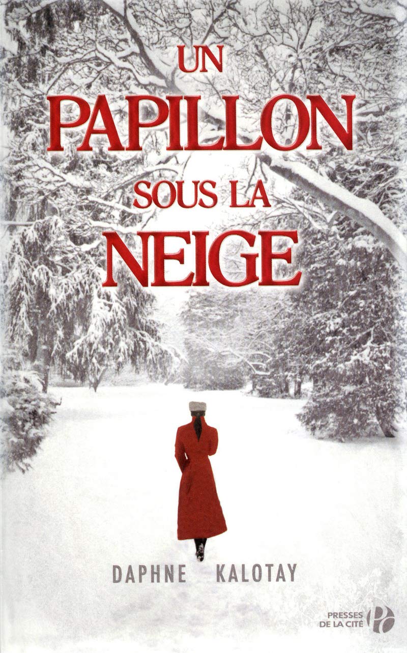 Un papillon sous la neige 9782258081918