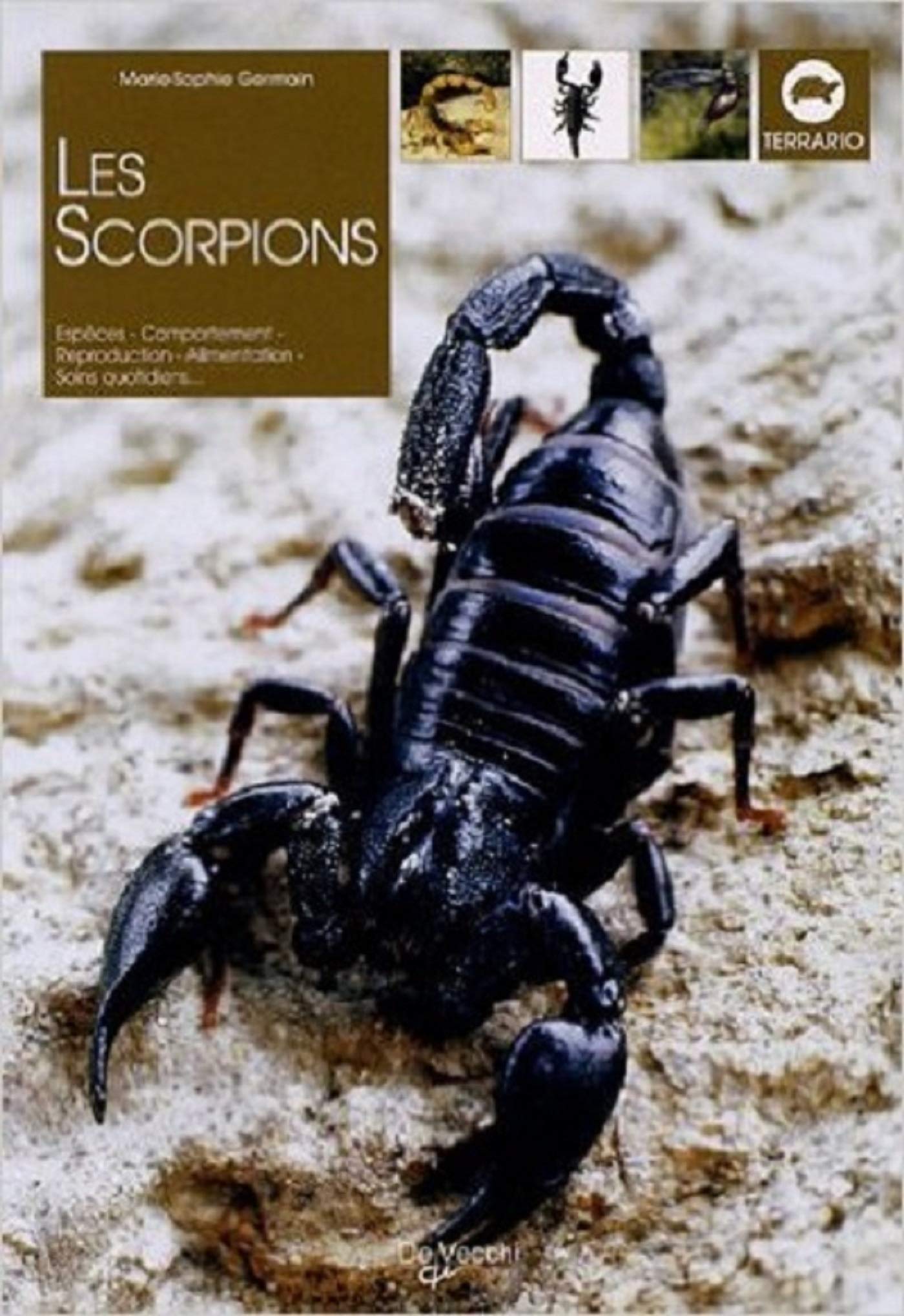 Les scorpions 9782732887081