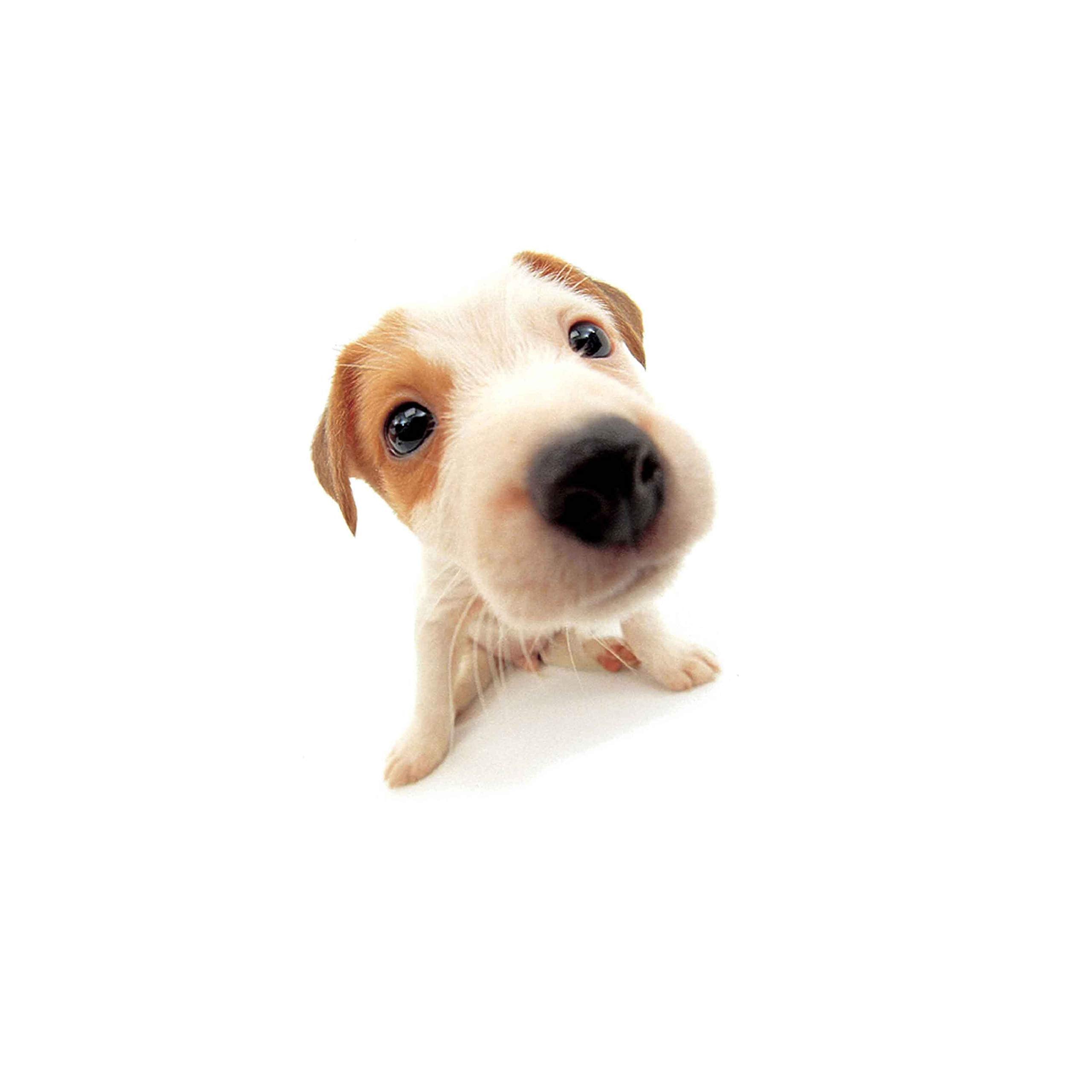 Teenage Dream [Import] 5099964783024