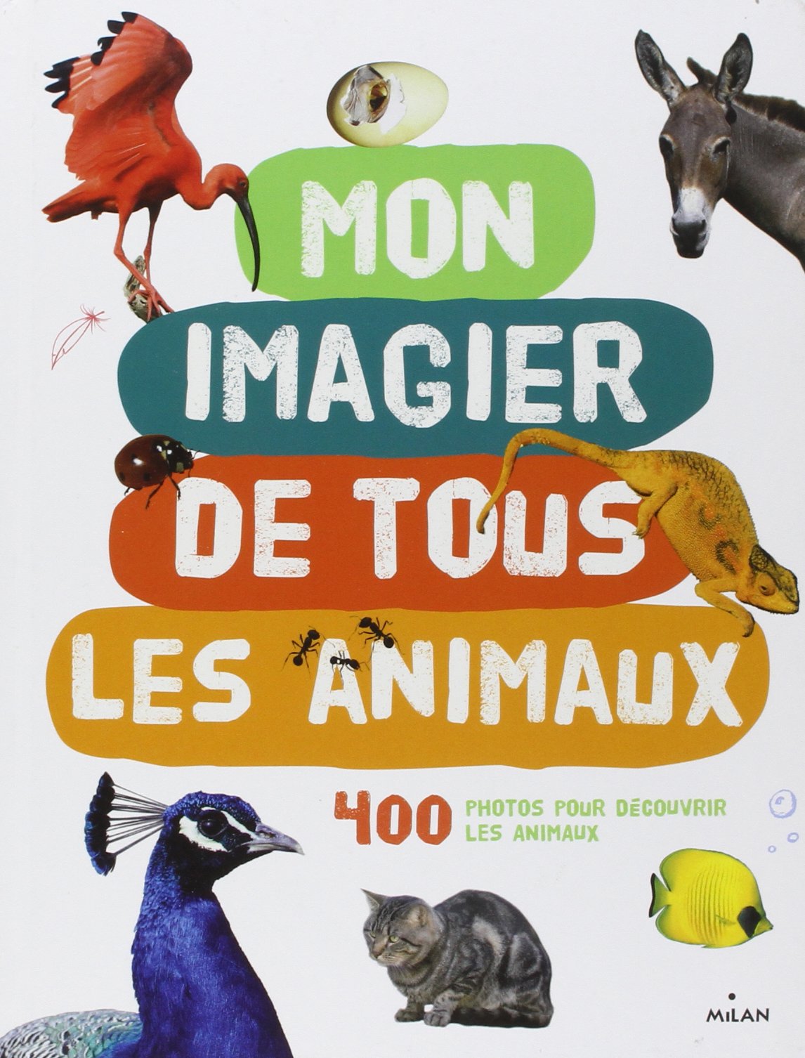 Mon imagier de tous les animaux, 400 photos pour découvrir les animaux: 400 photos pour découvrir les animaux 9782745931078
