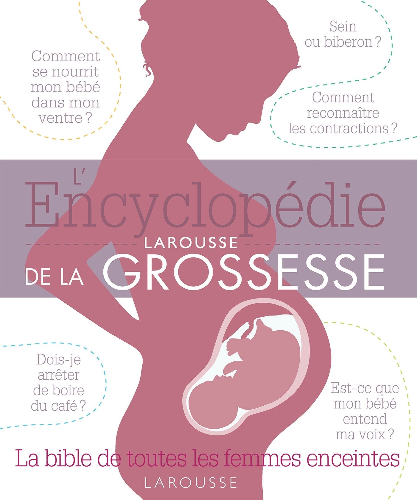 L'encyclopédie Larousse de la grossesse: La bible de toutes les femmes enceintes 9782035928542