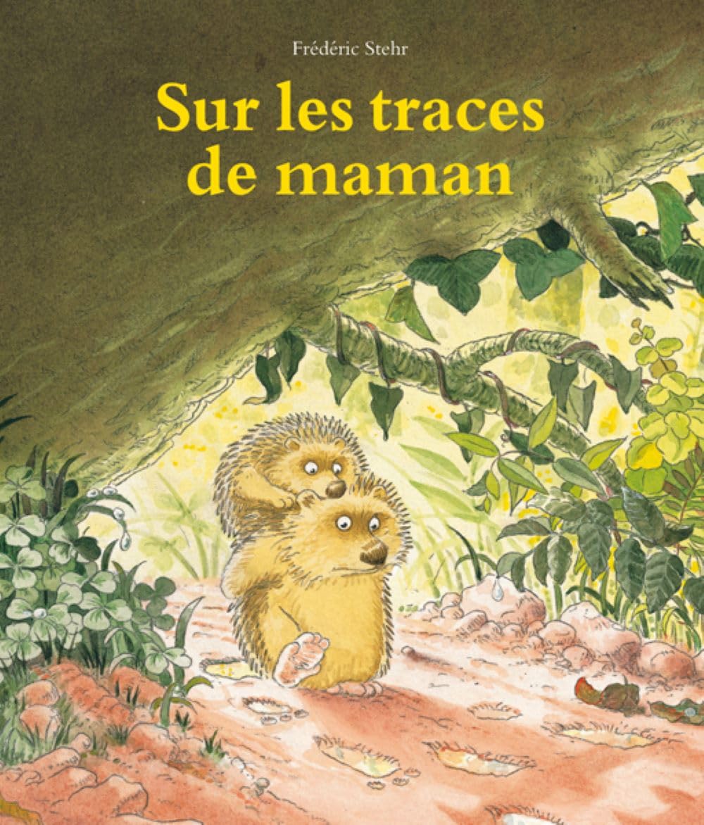 Sur les traces de maman 9782211029490