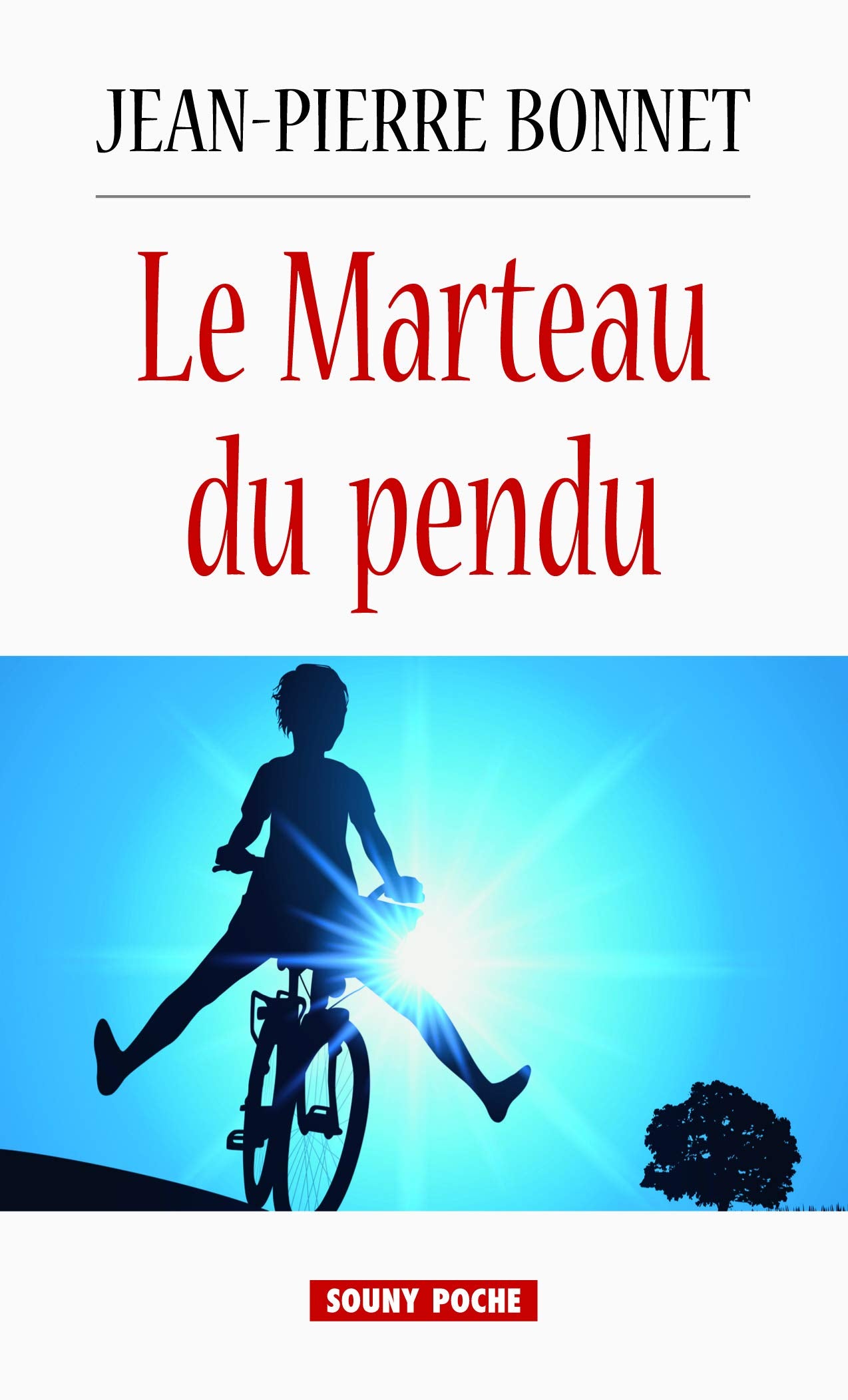 Le marteau du pendu 9782848866284
