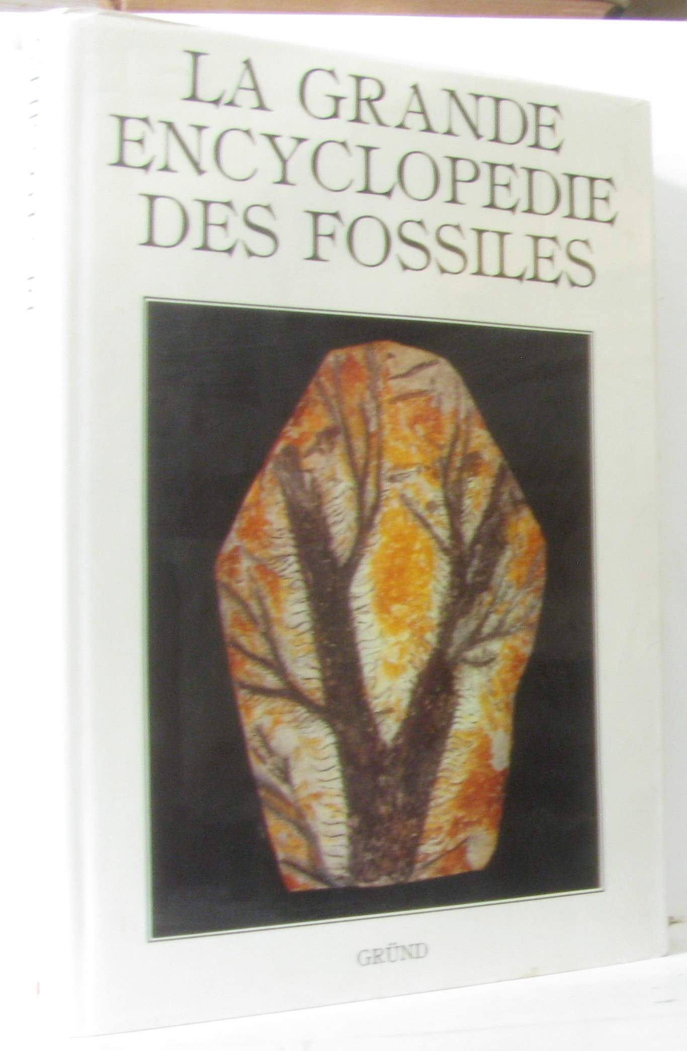 La Grande encyclopédie des fossiles 9782700025026