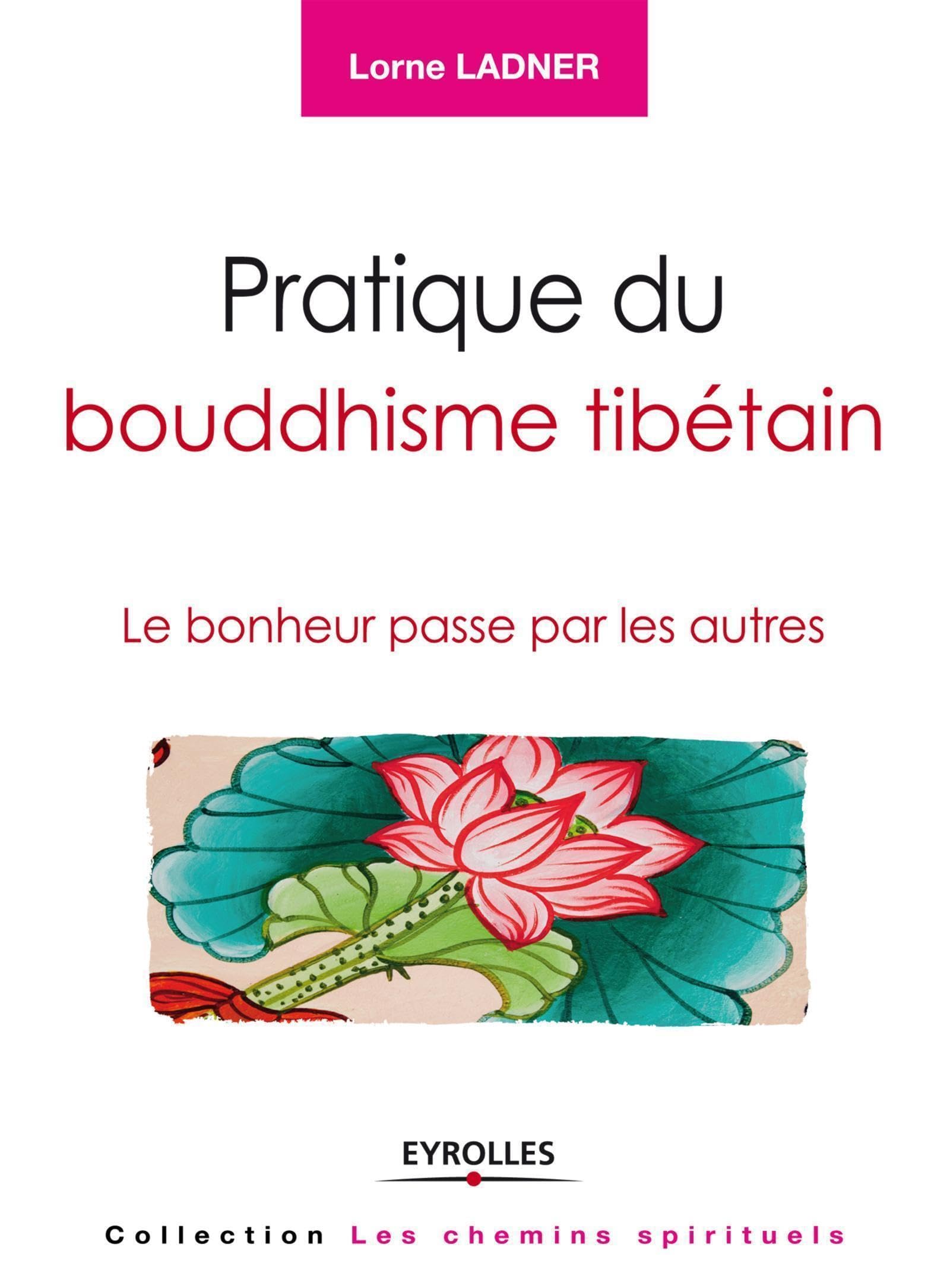 Pratique du bouddhisme tibétain: Le bonheur passe par les autres. 9782212557268