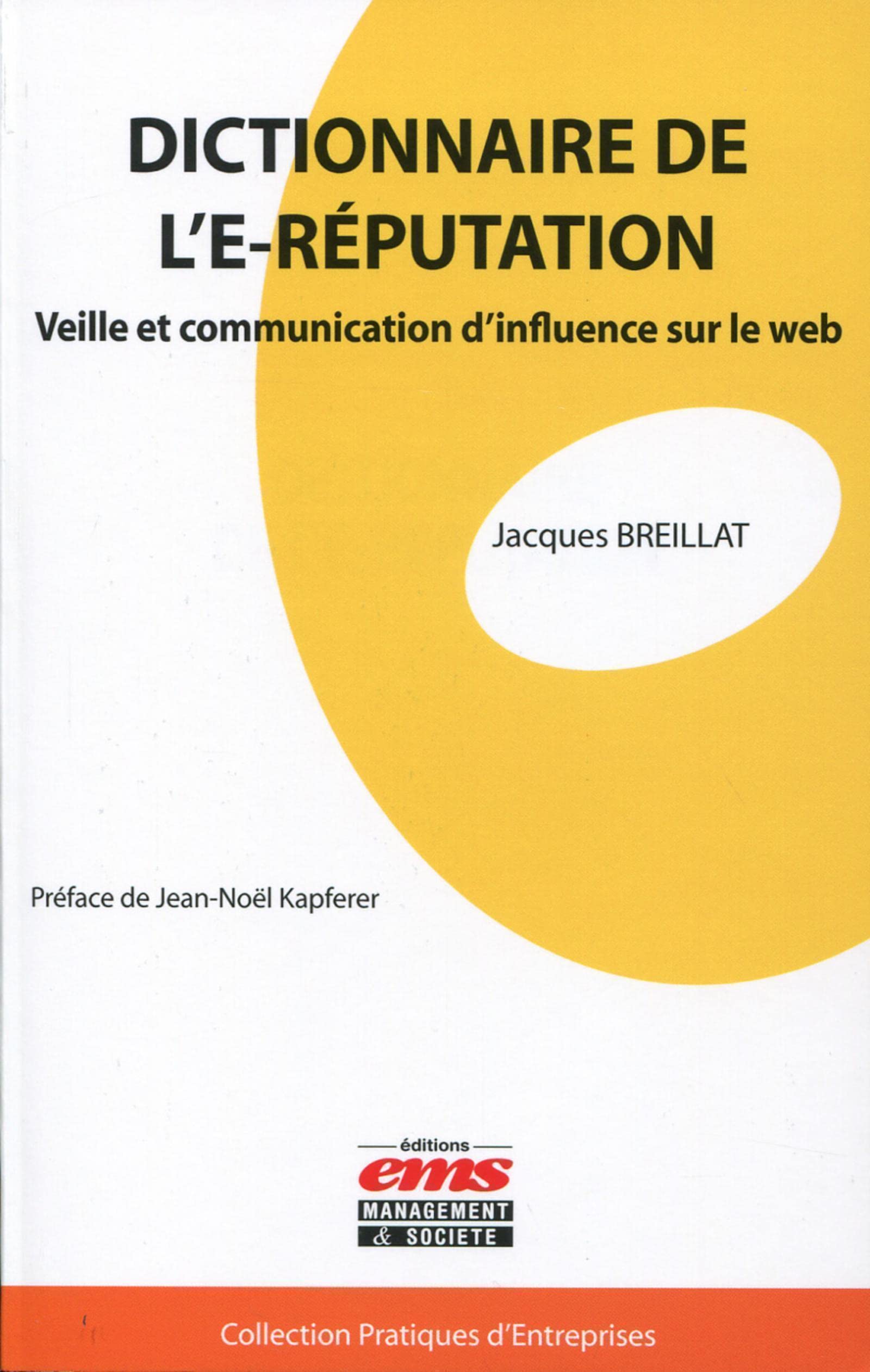Dictionnaire de l'e-réputation : Veille et communication d'influence sur le web 9782847696943