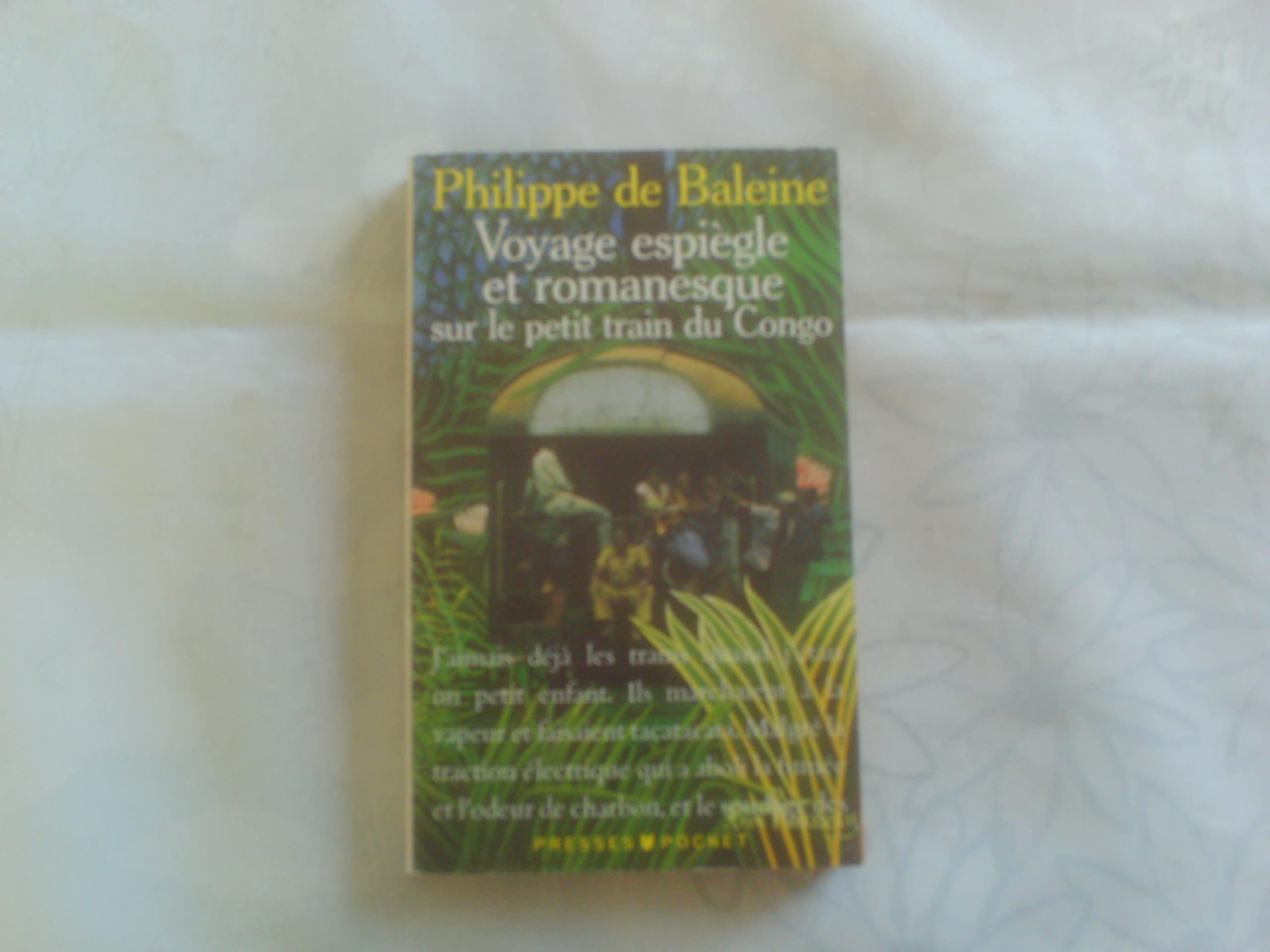 Voyage espiègle et romanesque sur le petit train du Congo 9782266053136