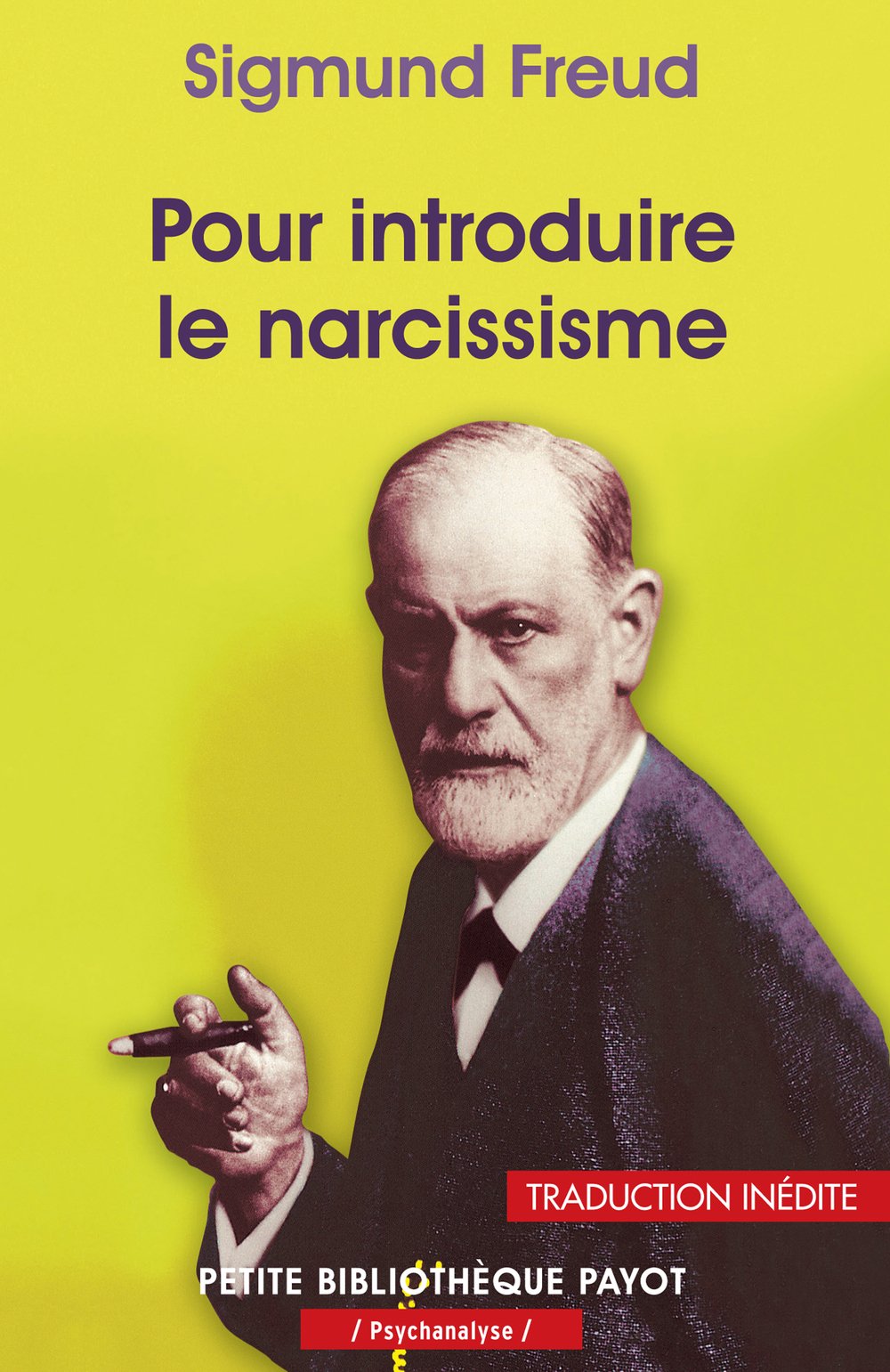 Pour introduire le narcissisme 9782228907439