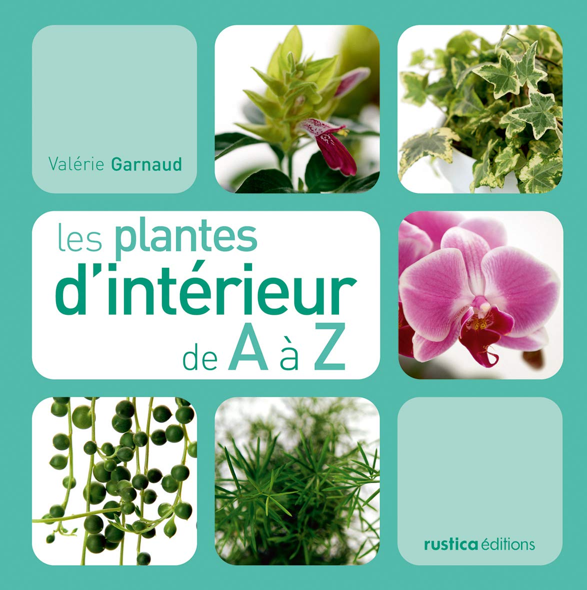 PLANTES D'INTERIEUR DE A A Z (LES) 9782840389248