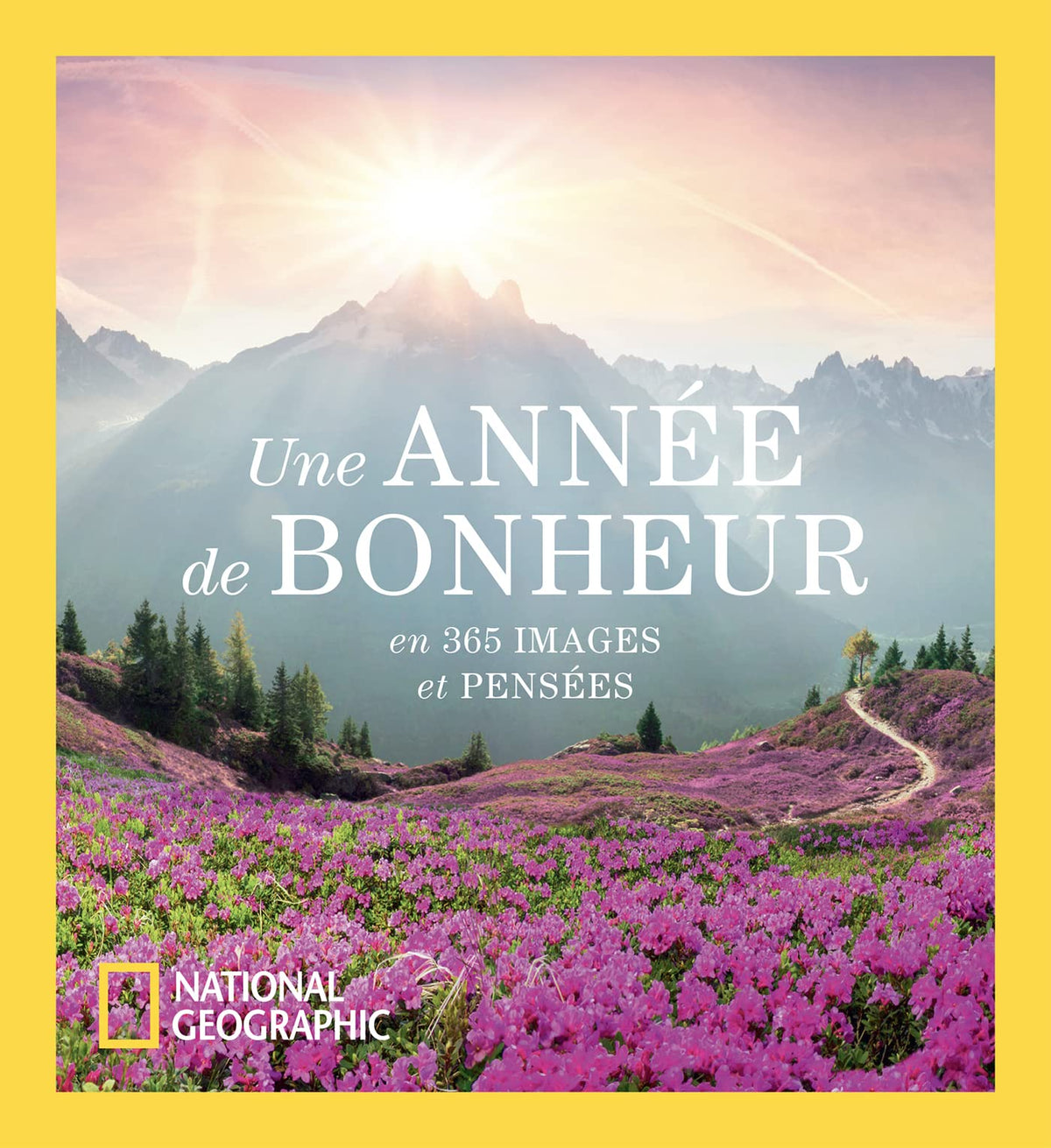 Une Année de bonheur - En 365 images et pensées 9782822902915