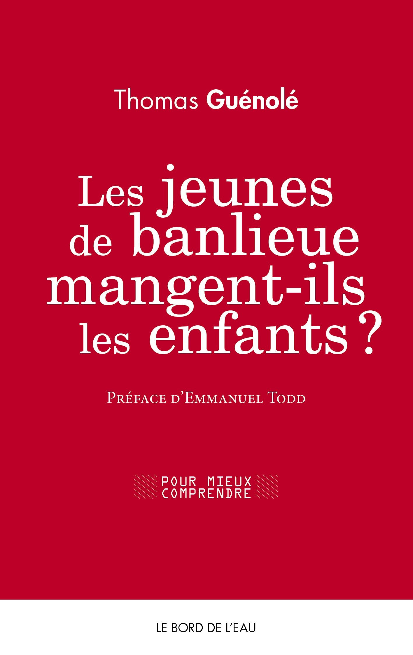 Les jeunes de banlieue mangent-ils les enfants ? 9782356874177