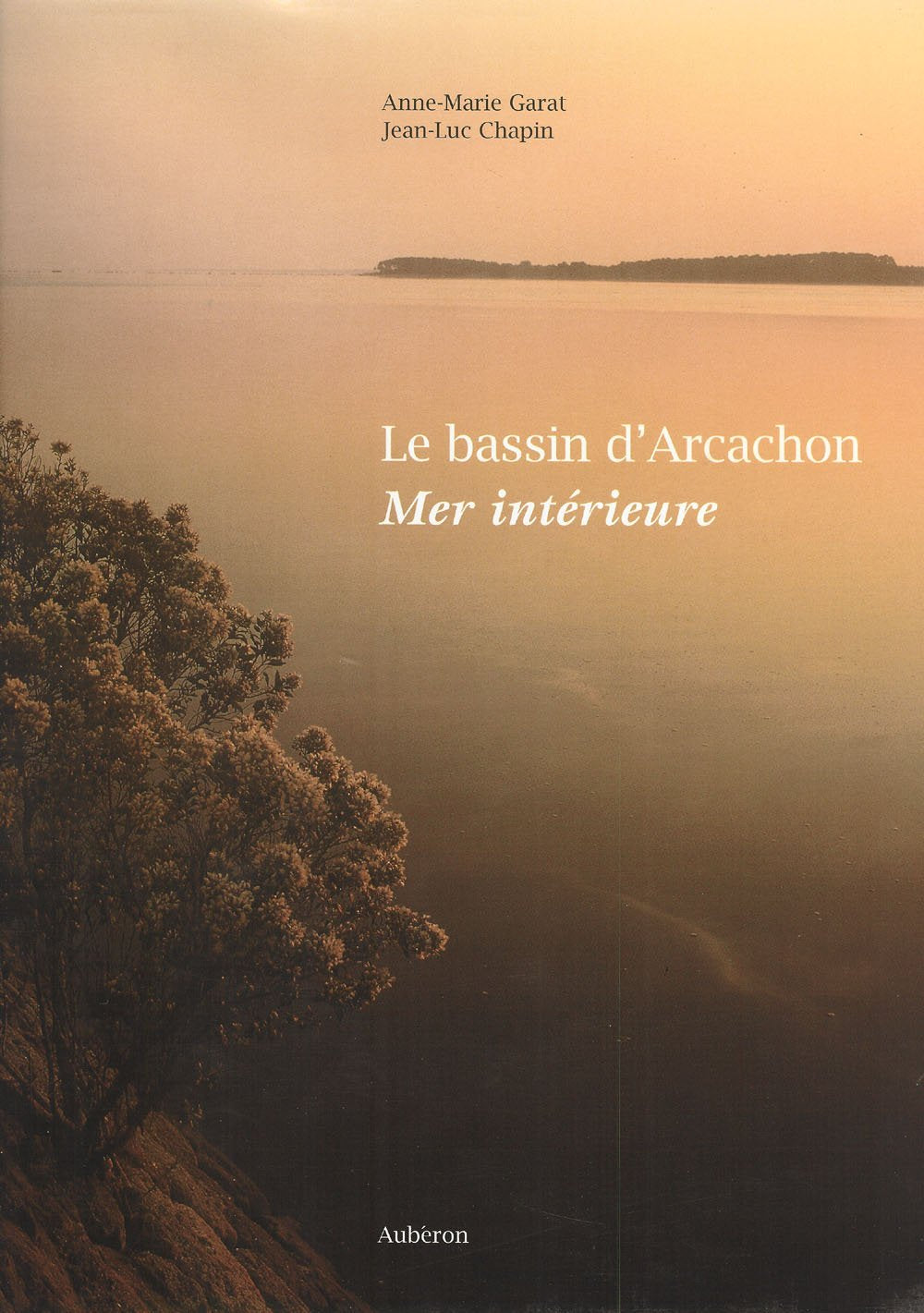 Le bassin d'Arcachon 9782908650150