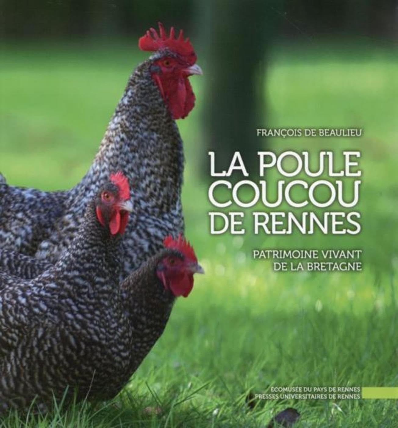 POULE COUCOU DE RENNES 9782753536319