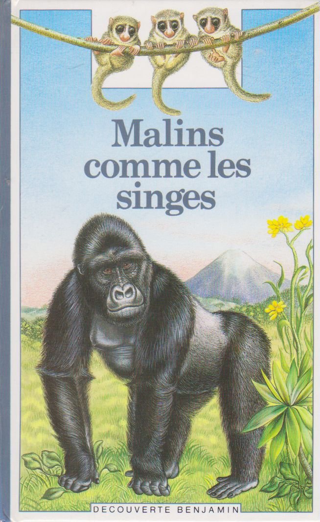 Malins comme des singes 9782070397327