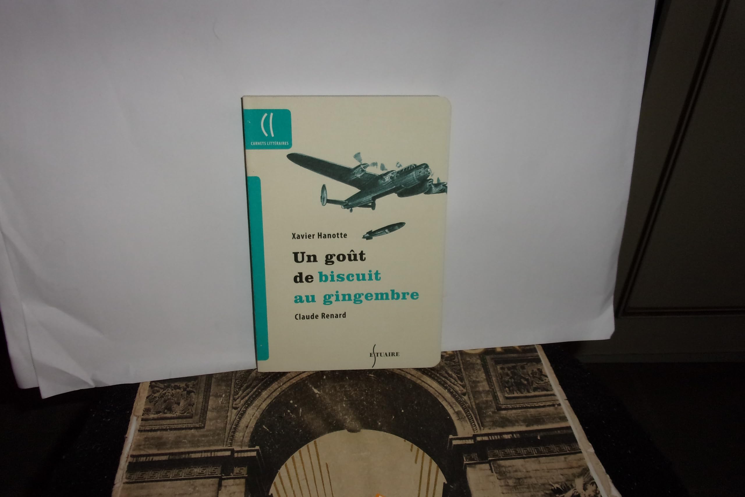 Un goût de bisuit au gingembre: (L'architecte du désastre) 9782874430190