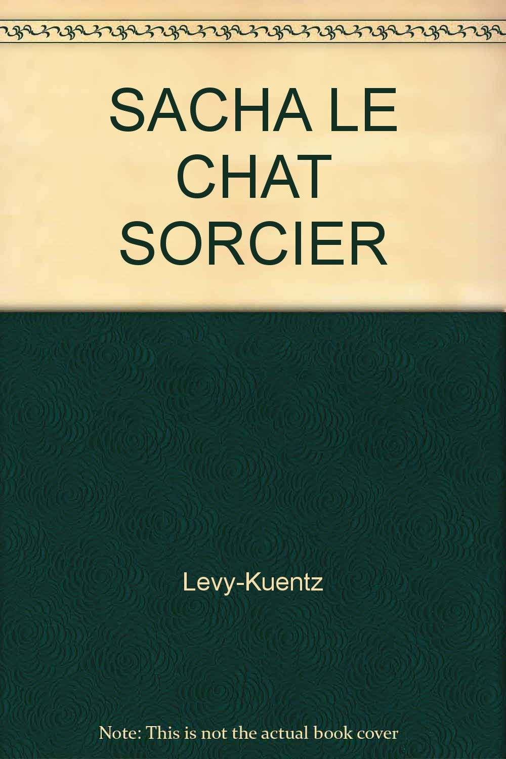 Sacha Le Chat Sorcier 9782736646141