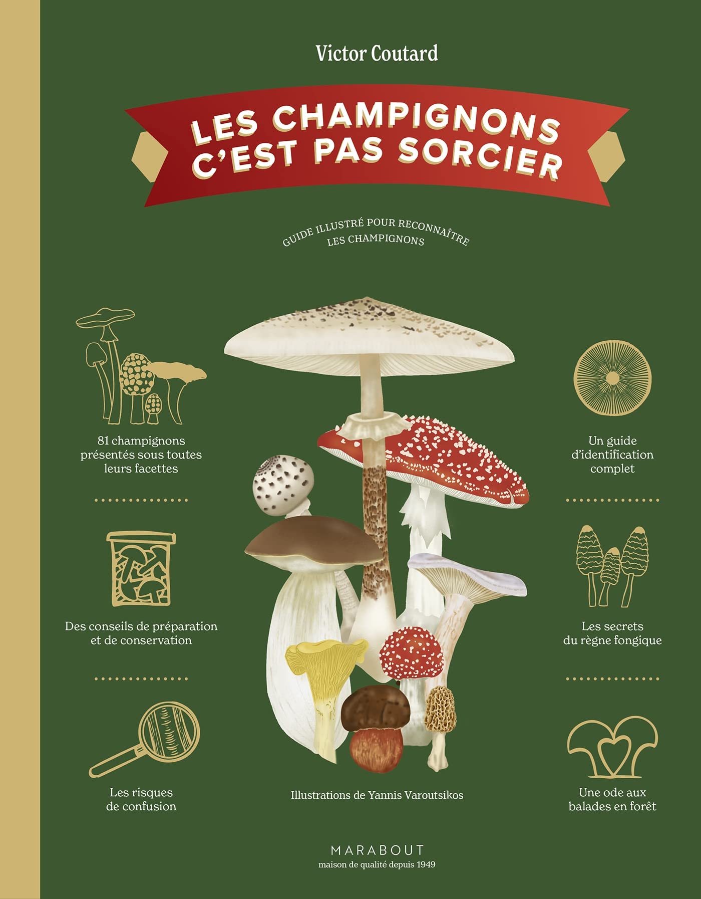 Les Champignons C'est pas sorcier 9782501171496