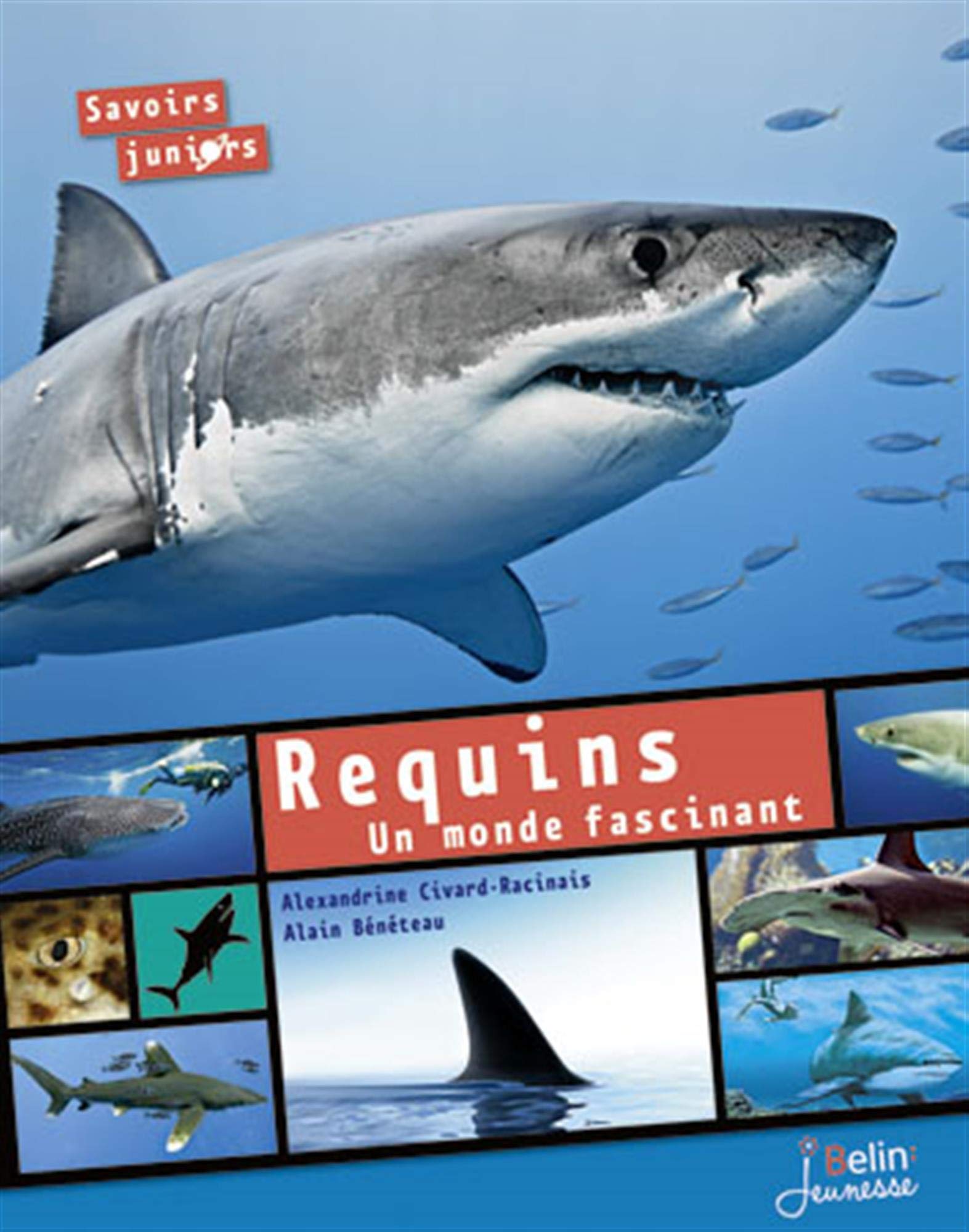 Requins: Un monde fascinant 9782701177793