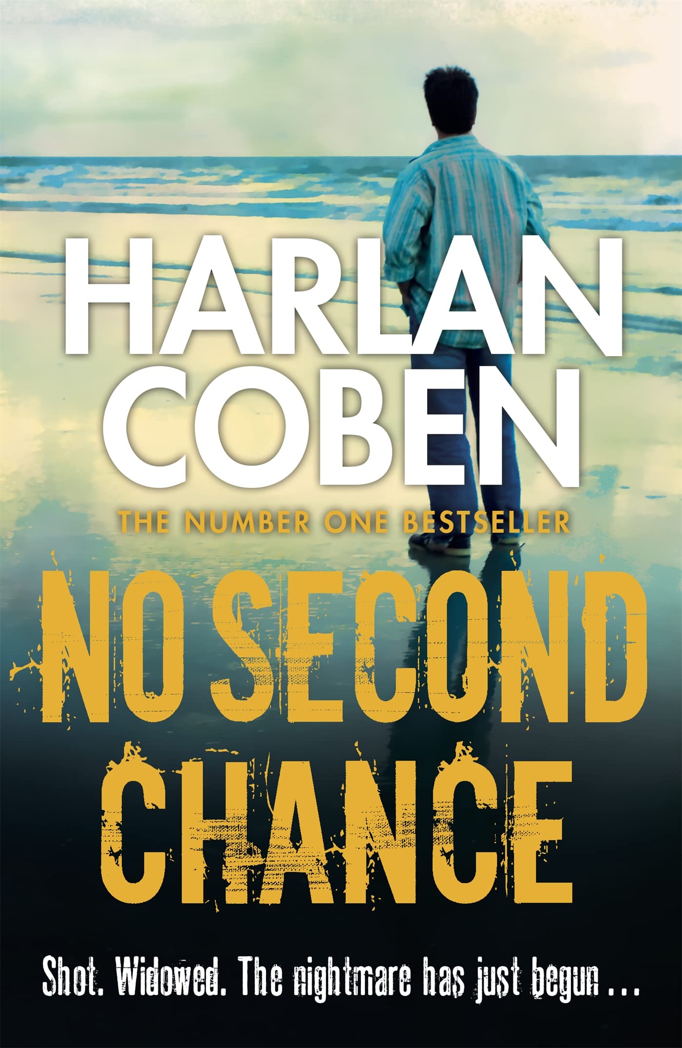 No Second Chance: From the Number One bestselling creator of the hit Netflix series Missing You 9781409117094