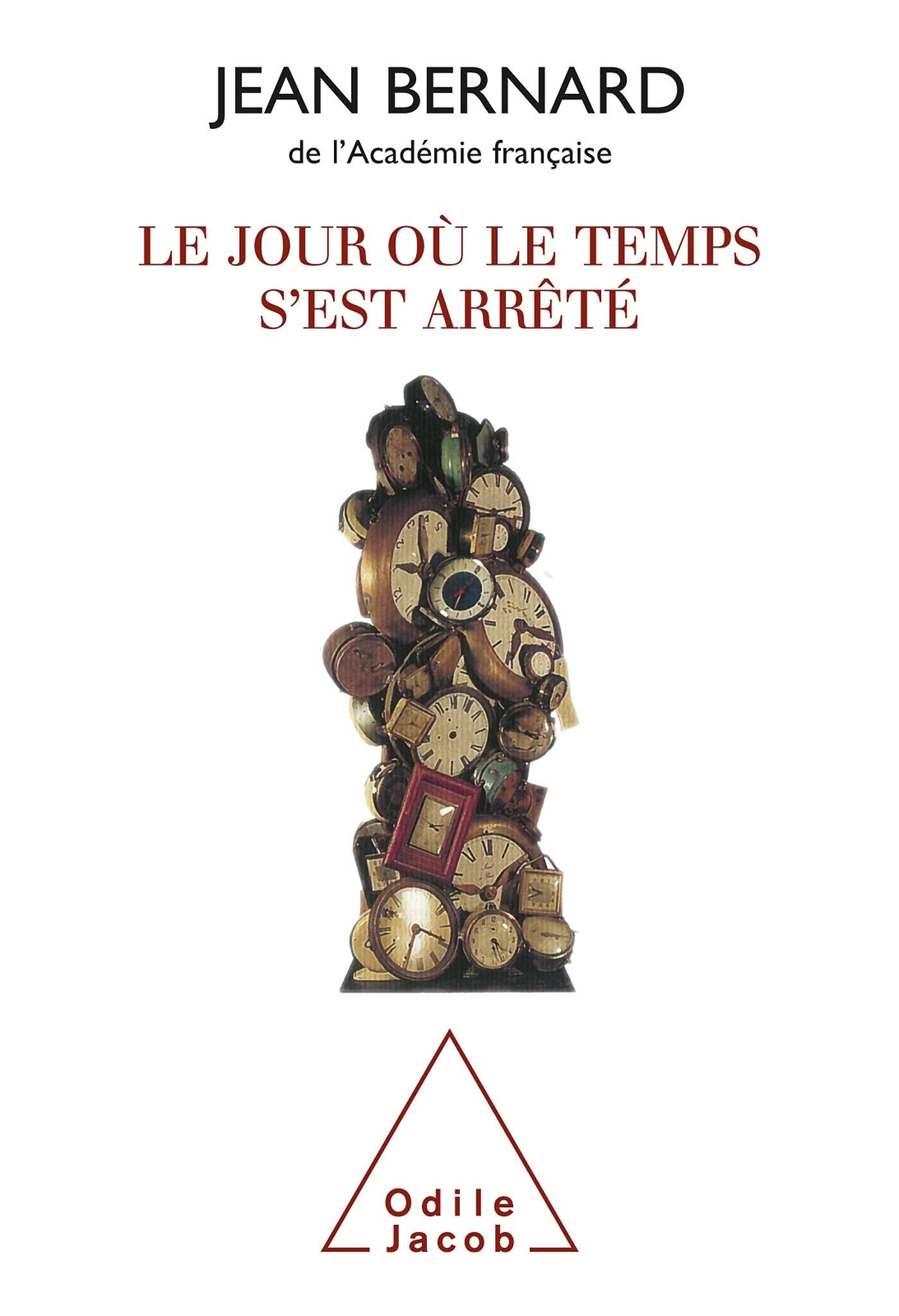 Le Jour où le temps s'est arrêté 9782738104762