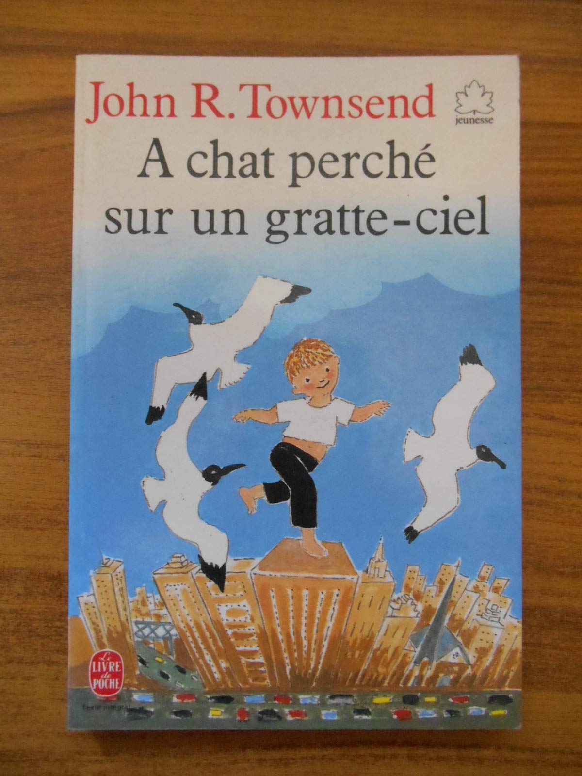 À chat-perché sur un gratte-ciel 9782253039846