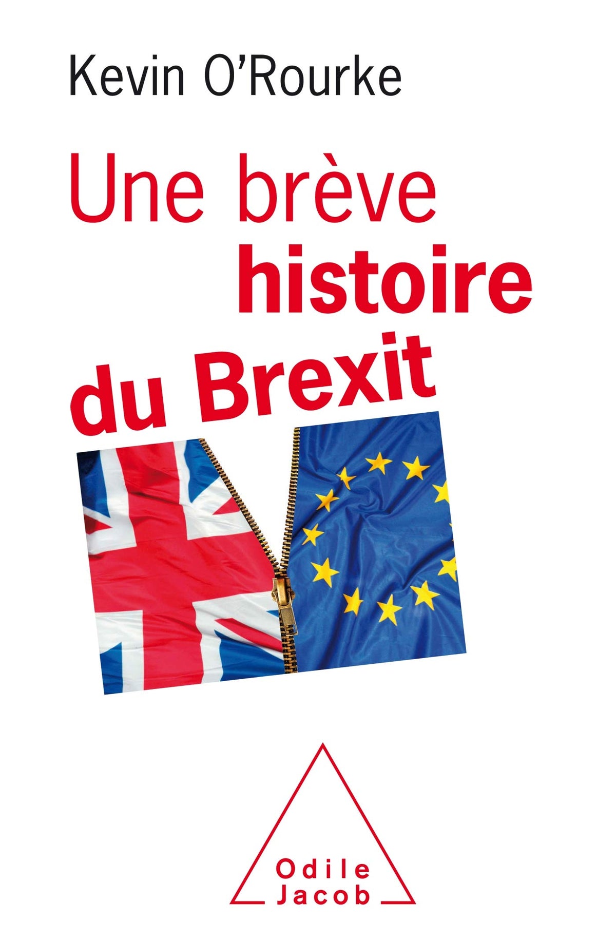 Une Brève histoire du Brexit 9782738146250