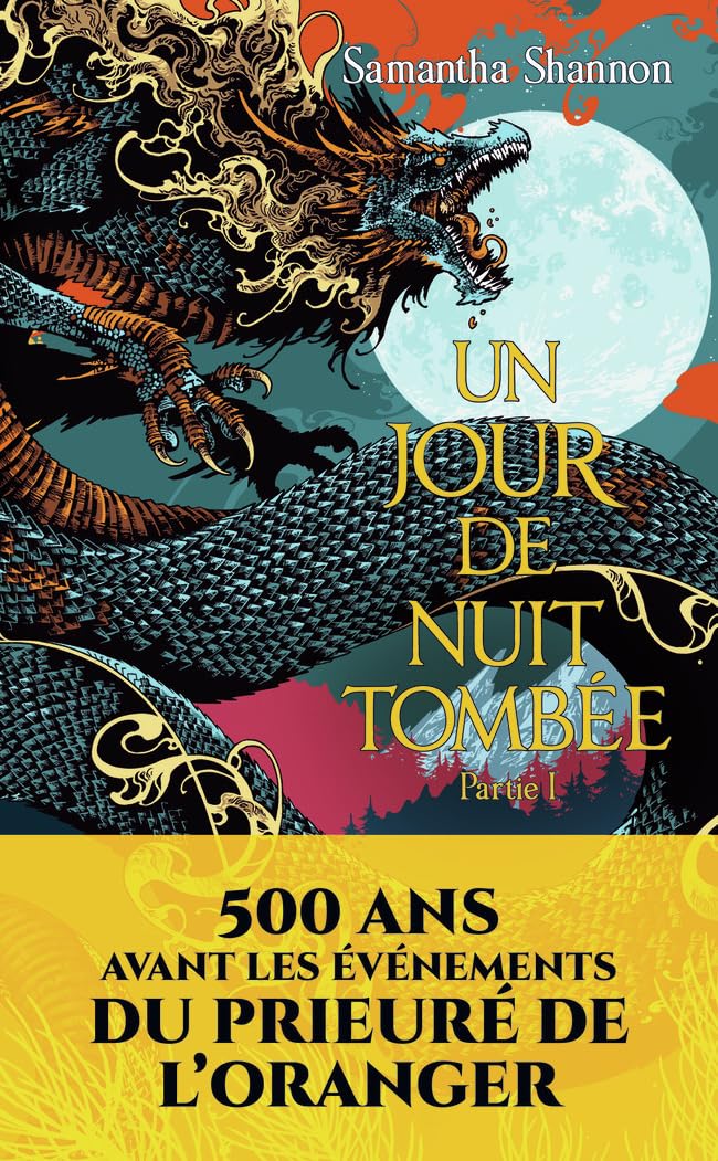 Un jour de nuit tombée: Partie I 9782290397336