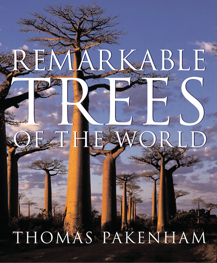 Remarkable Trees of the World 9780297843498