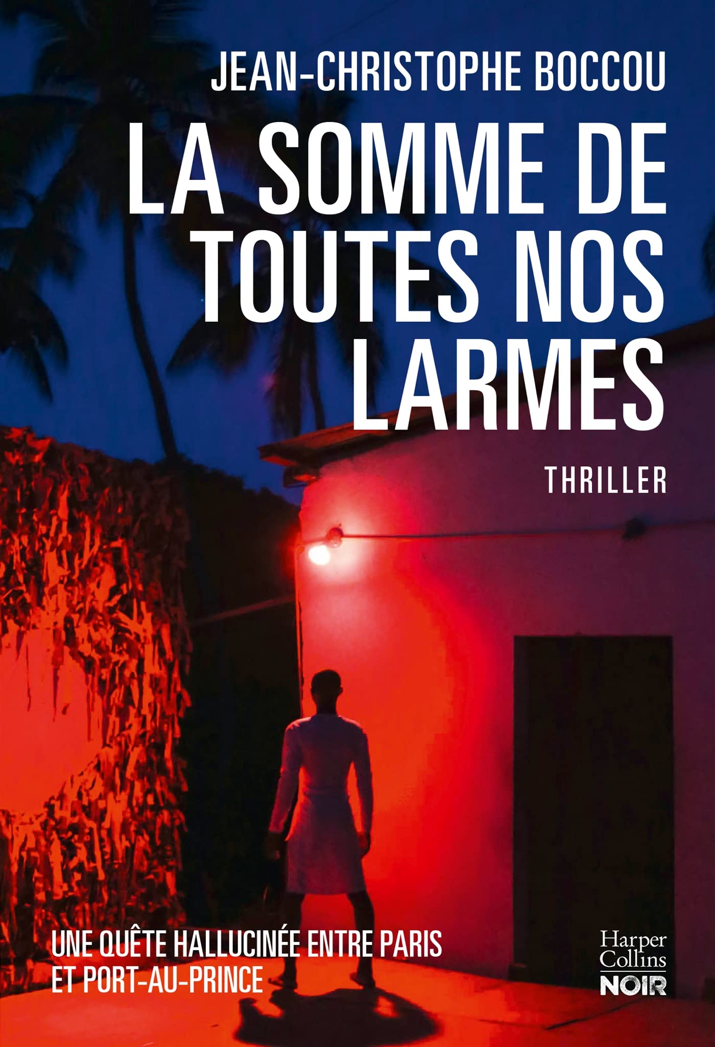 La Somme de toutes nos larmes: Un thriller passionnant teinté de magie noire entre Paris et Port-au-Prince 9791033914174