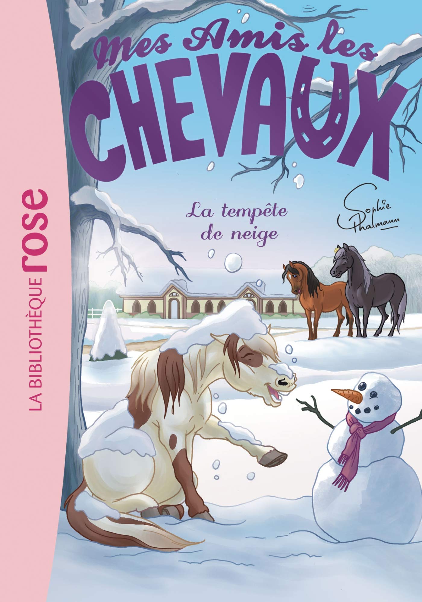 Mes amis les chevaux 25 - La Tempête de neige 9782017072294