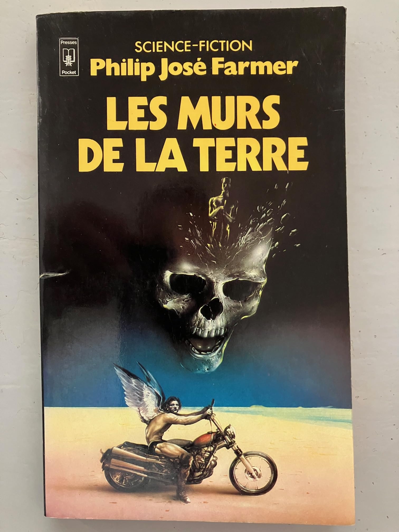 La saga des hommes-dieux - Les murs de la terre 9782266012928