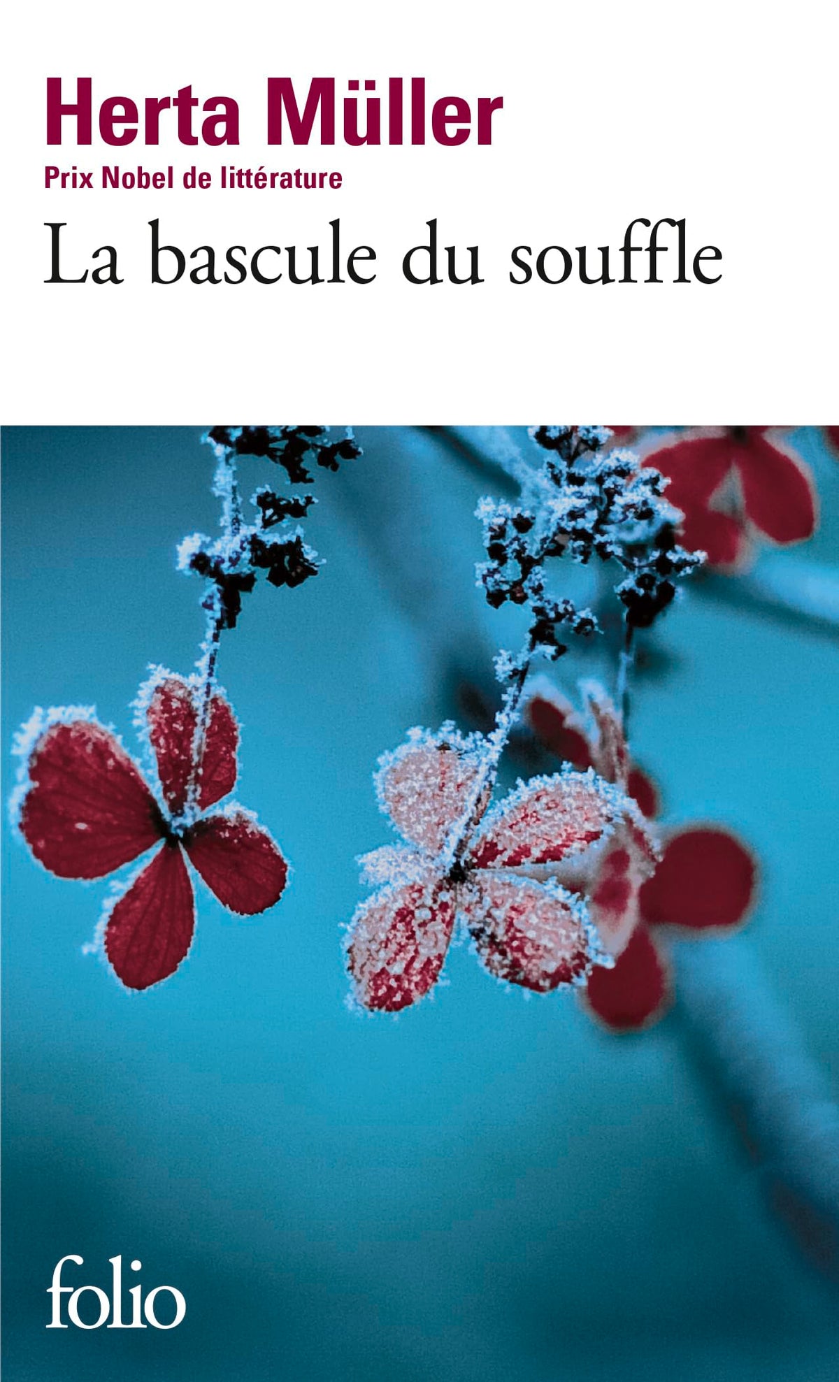 La bascule du souffle 9782070445332