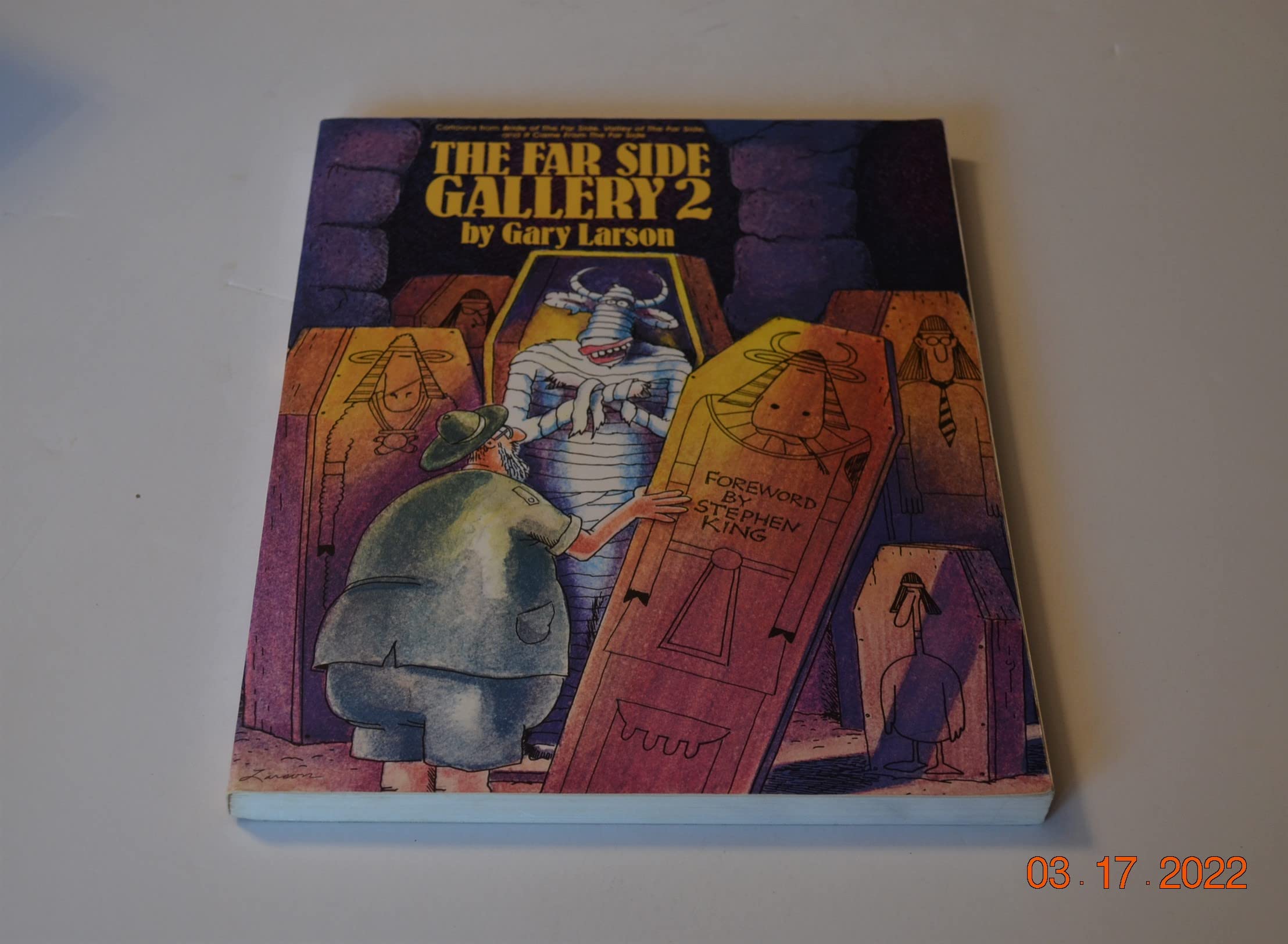 The Far Side Gallery: No. 2 9780708843529