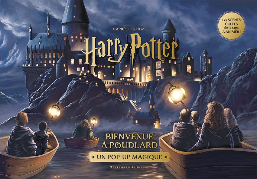 Harry Potter - Bienvenue à Poudlard - Un pop-up magique 9782075222334