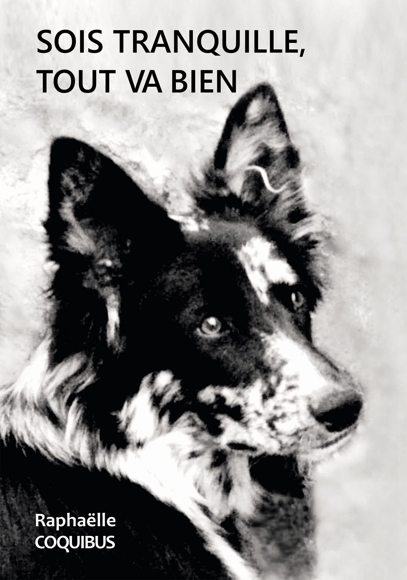 Sois tranquille, tout va bien 9791035957339