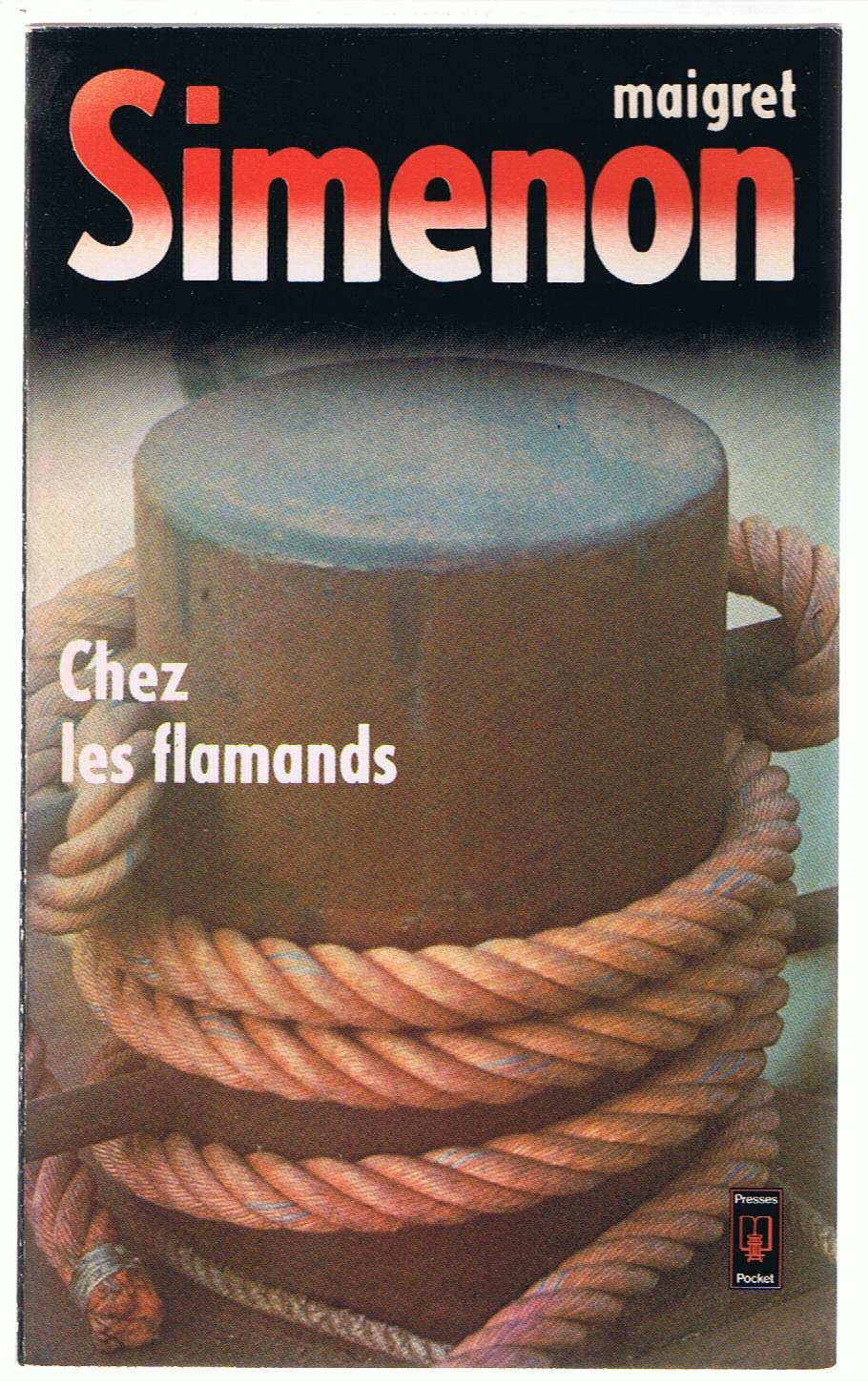 Chez les Flamands 9782266004992