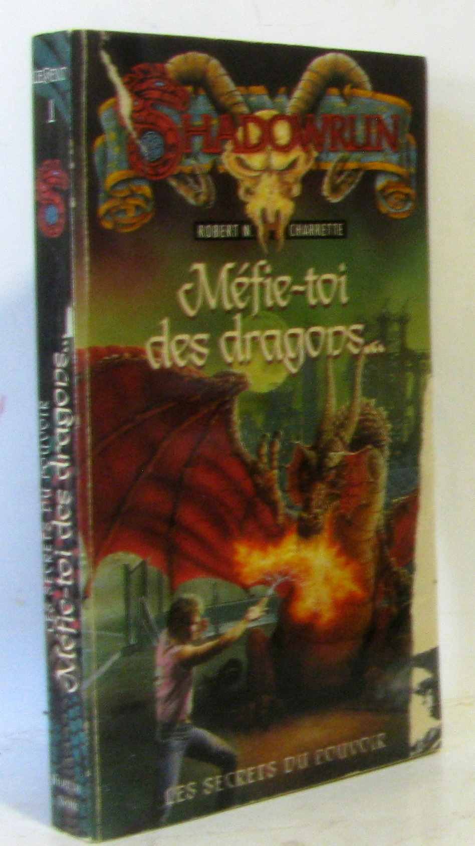 Méfie-toi des dragons 9782265051478