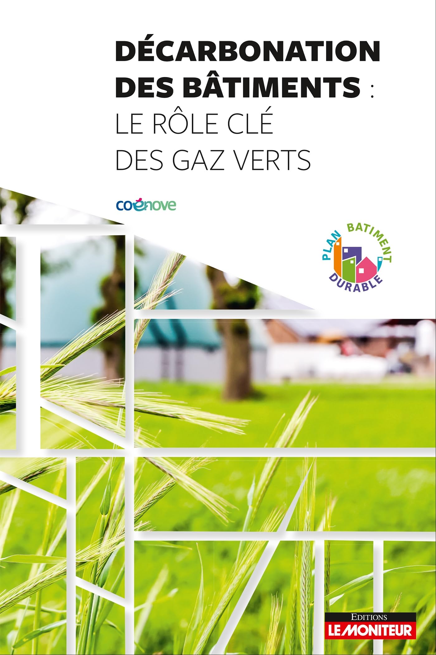 Décarbonation des bâtiments : le rôle des gaz verts 9782281148190