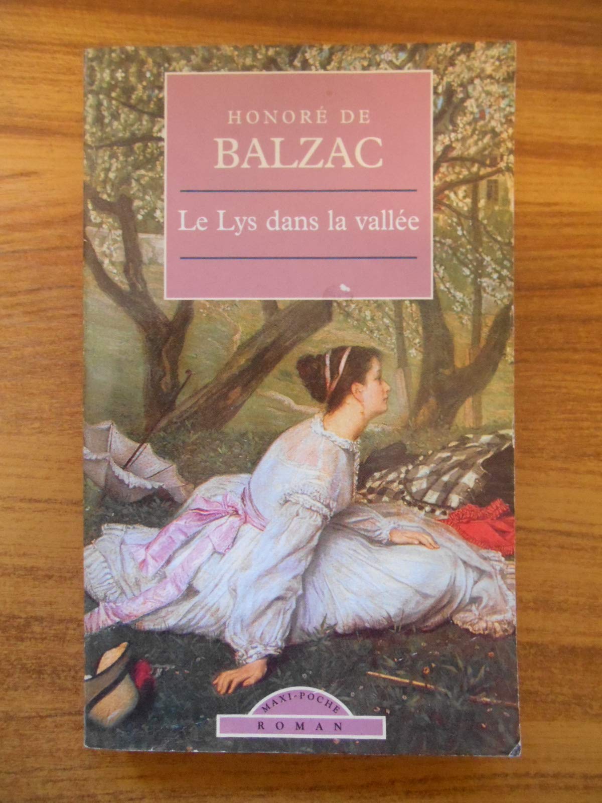 Lys Dans la Vallee (le) 9782743431822