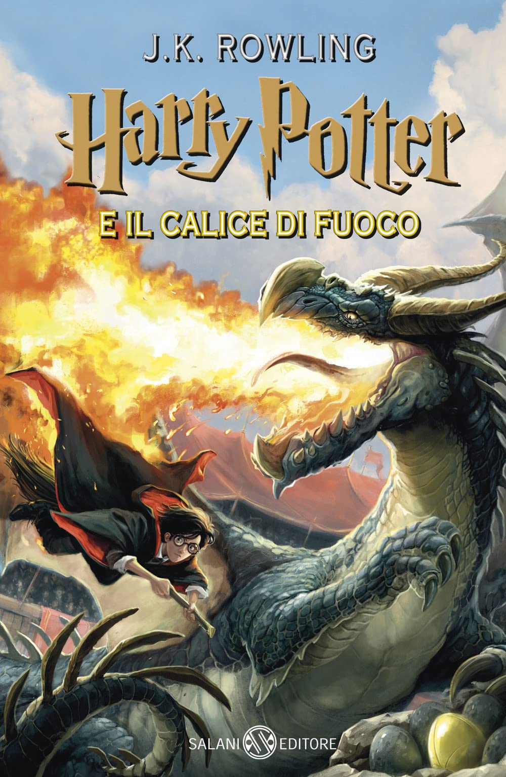 HARRY POTTER E IL CALICE DI FUOCO VOL 4 9788831003414