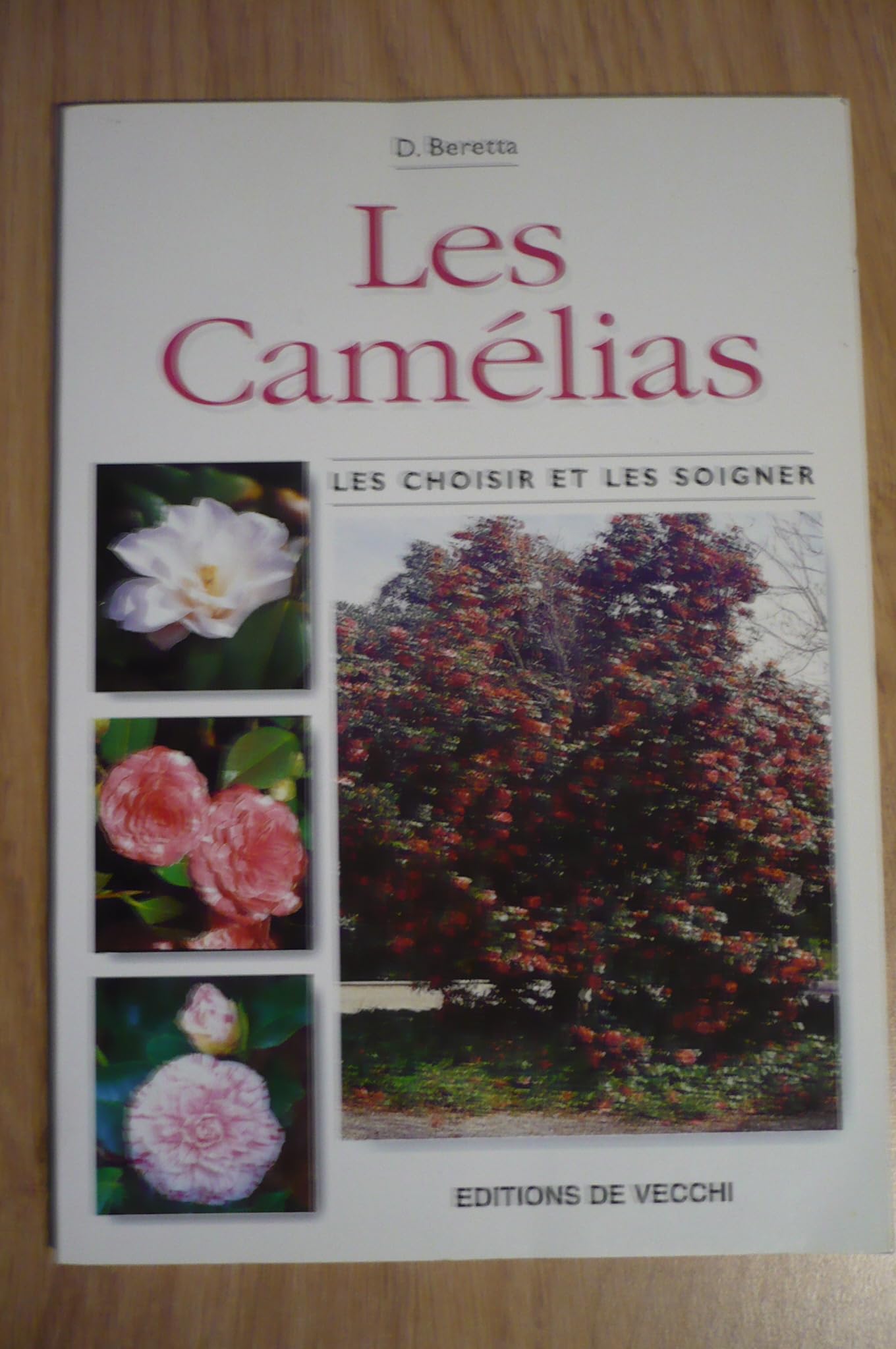 Les Camelias 9782732814926