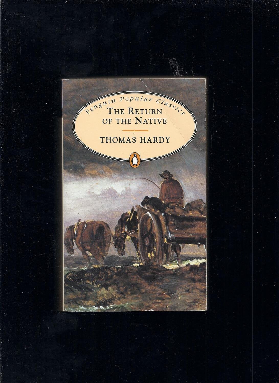 The Return of the Native 9780140620559